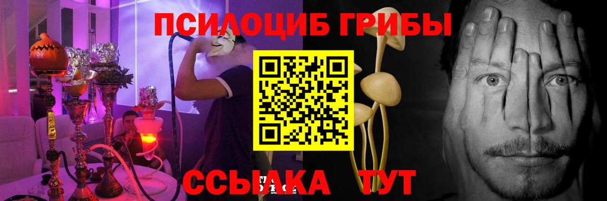 Серпухов  Псилоцибиновые грибы MAGIC MUSHROOMS  Галлюциногенные грибы MAGIC MUSHROOMS  Вход с VPN 